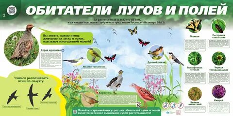 Жители луга