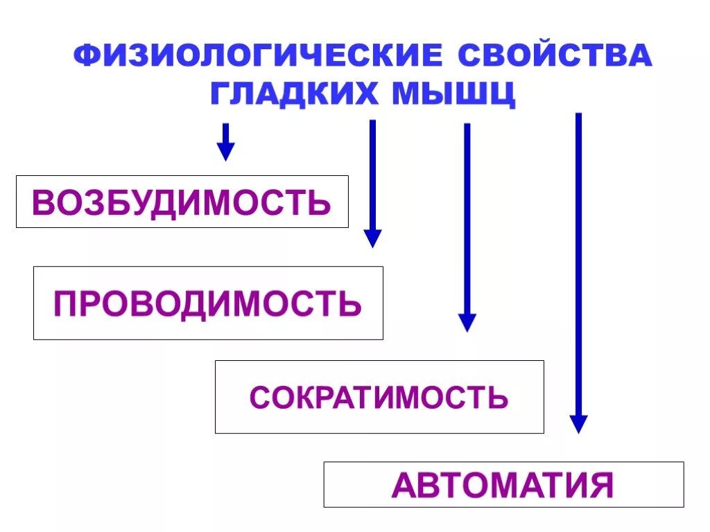 Возбудимость и сократимость мышечной ткани. Раздражители гладких мышц. Раздражители гладких мышц физиология. Физиологические свойства гладких мышц. Возбудимость проводимость сократимость.