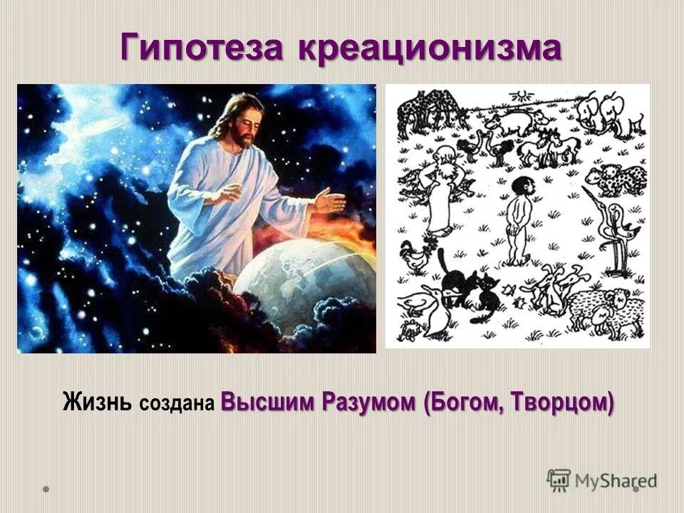 Как была создана жизнь