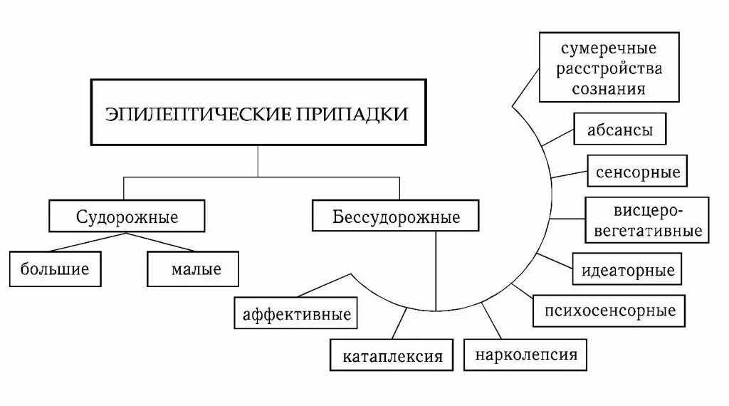 Виды припадков. Классификация приступов при эпилепсии. Схема классификации эпилепсии. Виды эпилептических припадков. Причины клинические проявления классификация эпилепсии таблица.