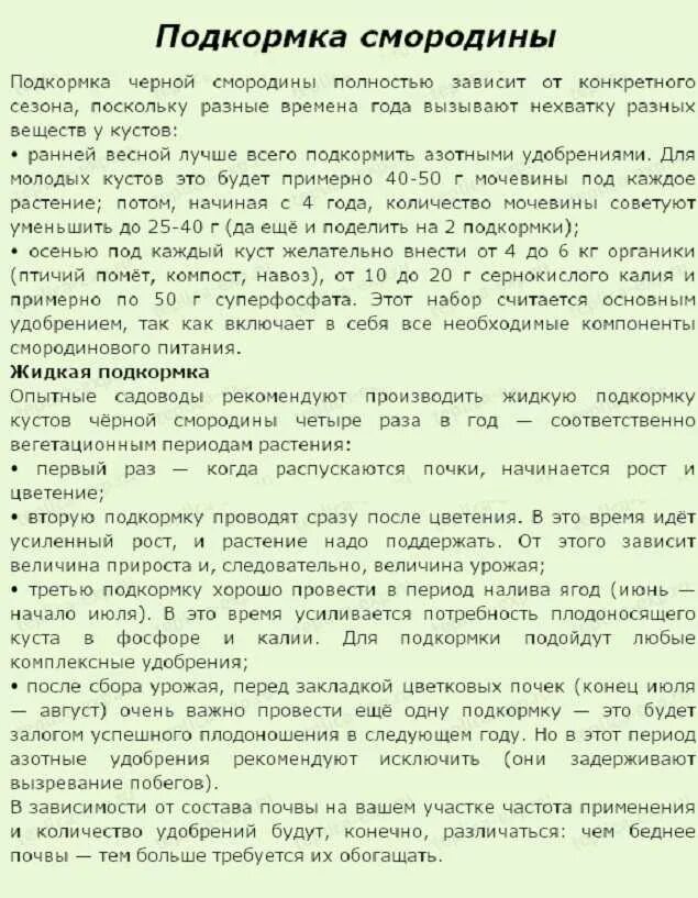 Какими народными средствами подкармливать. Удобрение для смородины весной для увеличения урожая. Таблица подкормки черной смородины. Схема подкормки смородины. Схема подкормки чёрной смородины.