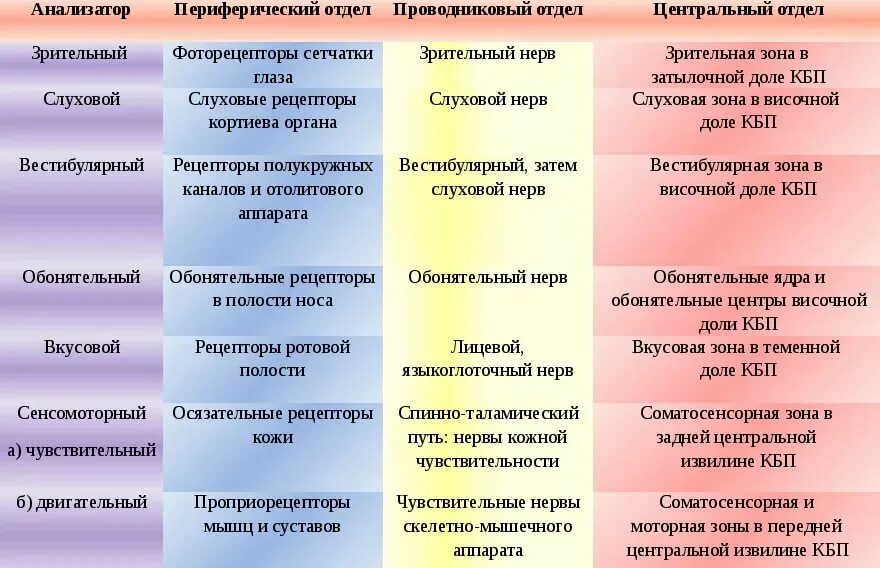 Воспринимающим элементом анализатора являются ответы к тесту. Анализаторы периферический отдел проводниковый отдел. Функции анализаторов таблица. Виды анализаторов таблица. Анализаторы и их функции таблица.