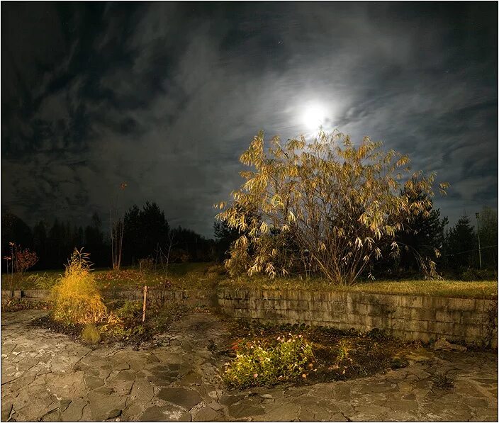 Красивая ноябрьская ночь. Поздняя осень ночь. Поздняя осень вечер. Поздний осенний вечер. Осенняя Лунная ночь в деревне.