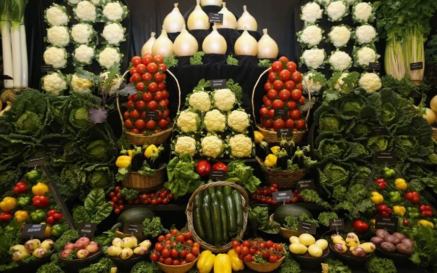 Выставки овощей. Композиция из овощей. Композиция из овощей и фруктов. Композиции из овощей и фруктов на выставку. Экспозиция из овощей.