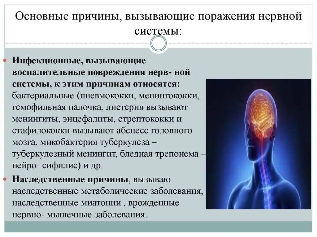 Основные причины нарушения нервной системы. Заболевания нервной системы. Заболевания нервной системы человека. Причины нарушения нервной системы. Болезни центральной нервной системы.