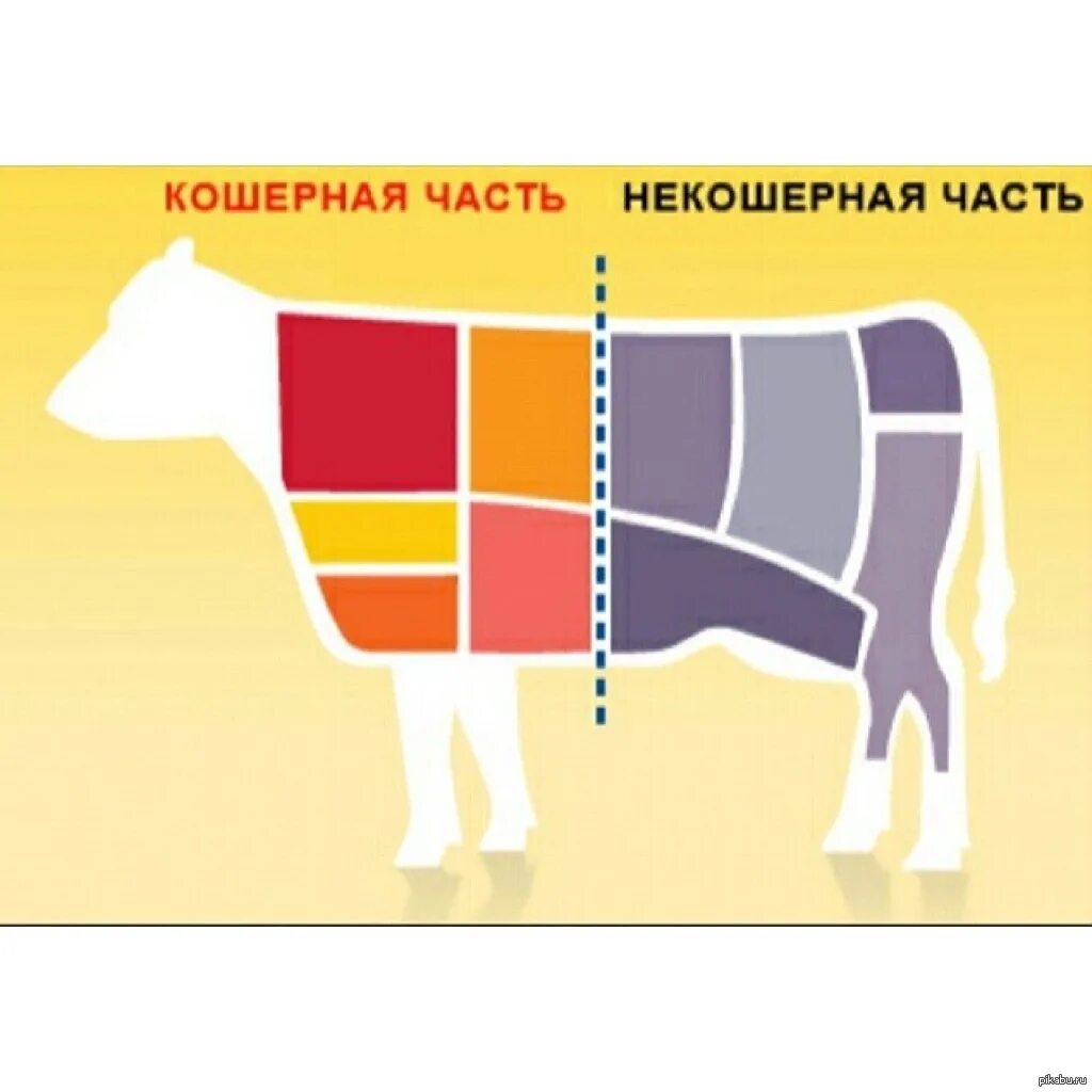 Кашрут. Кошерная и Некошерная еда. Кошерная и трефная пища это. Что значит слово кошерно