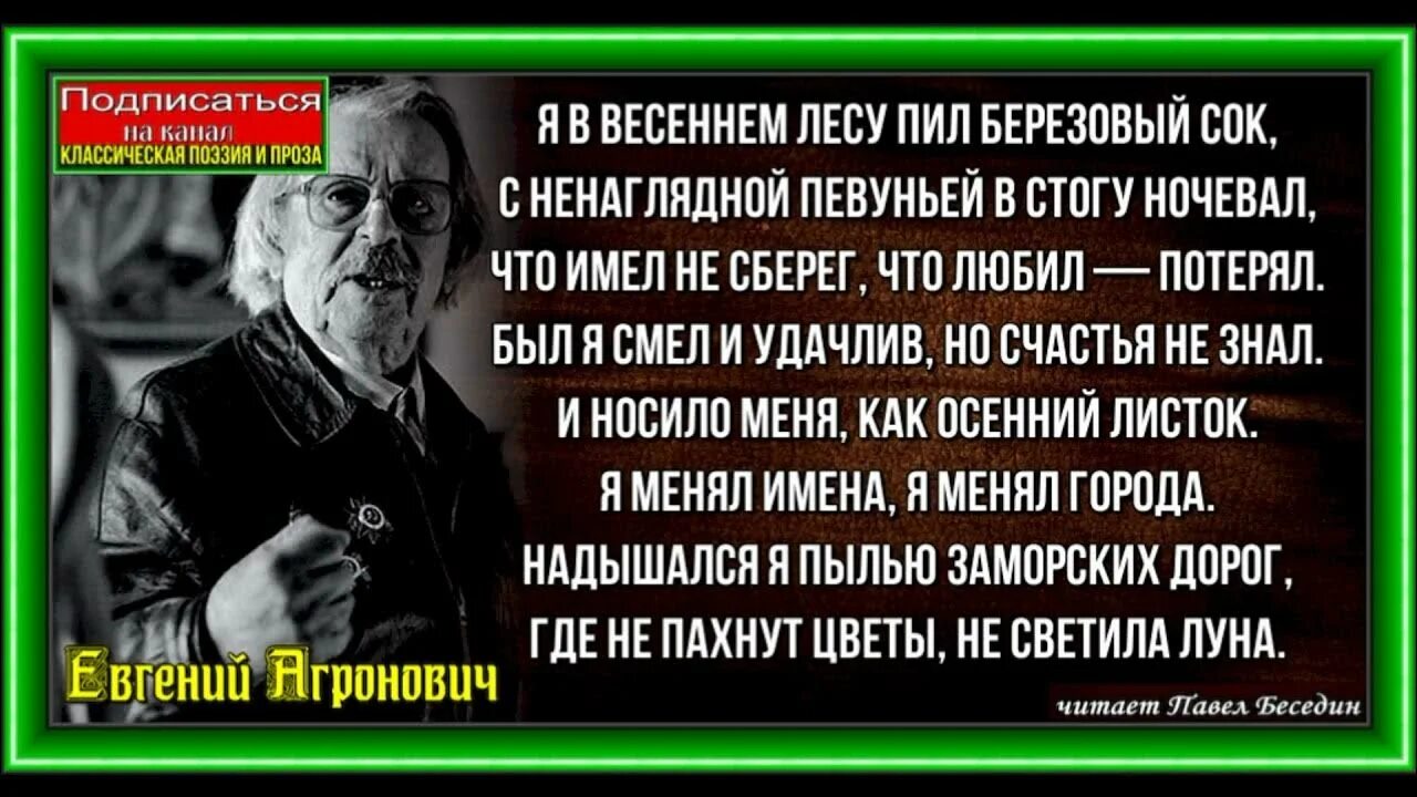 Я В весеннем лесу пил березовый сок. Я В весеннем лесу пил березовый сок Автор. Пил берёзовый сок.