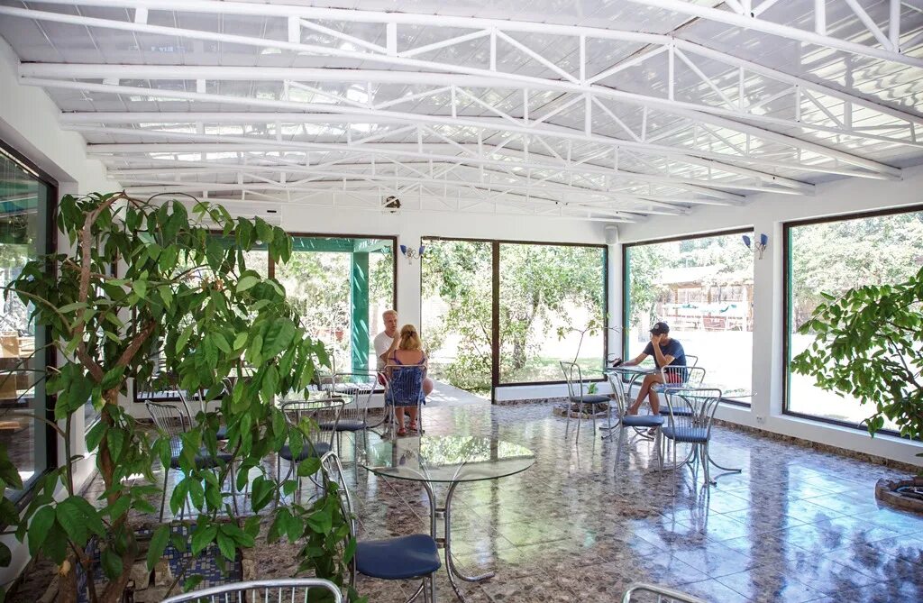 Отель апсара в пицунде. Апсара 3 абхазия пицунда. пансионат апсара пицунда. амзара пицунда пансионат. апсара отель абхазия лдзаа.