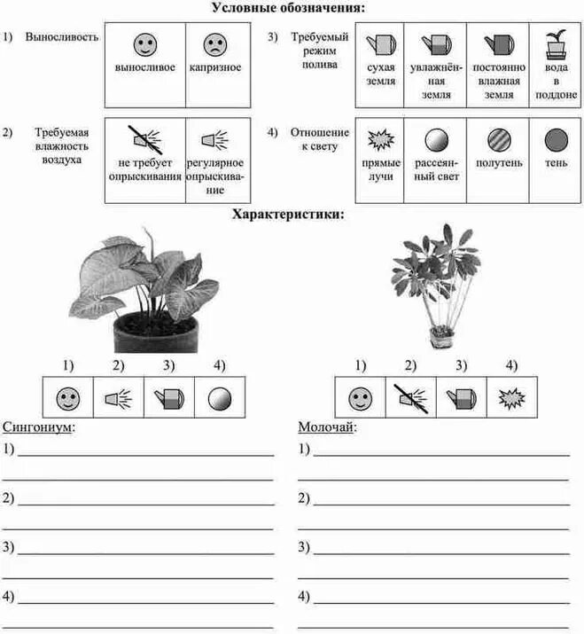 Условные обозначения растений. Растения по разному относятся к свету теплу и влаге и это. Опишите особенности растений. Цветы условные обозначения.