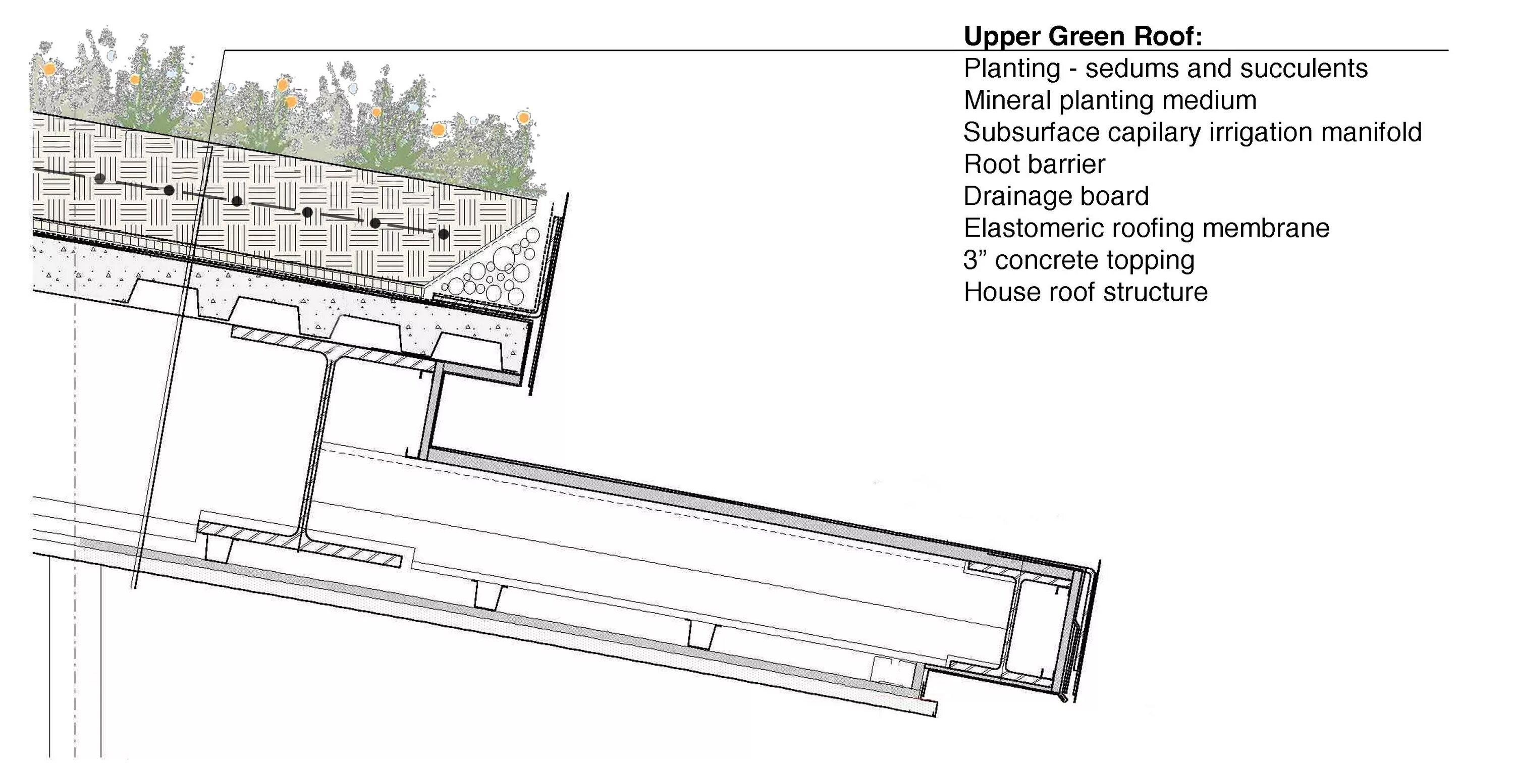 Green Roof Section. Green Roof Construction. Roof detail. Explosion diagram of the Green Roof.