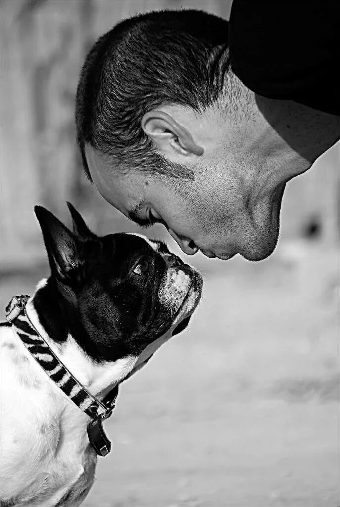Собака и человек стали друзьями. Собака друг человека. Человек с собакой. Собака - лучший друг. Собаки лучшие друзья человека.