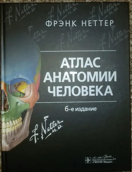 Фрэнк Неттер атлас анатомии. Фрэнк Неттер атлас анатомии человека. Анатомия современной косметики как читать книги. Фрэнк неттер атлас