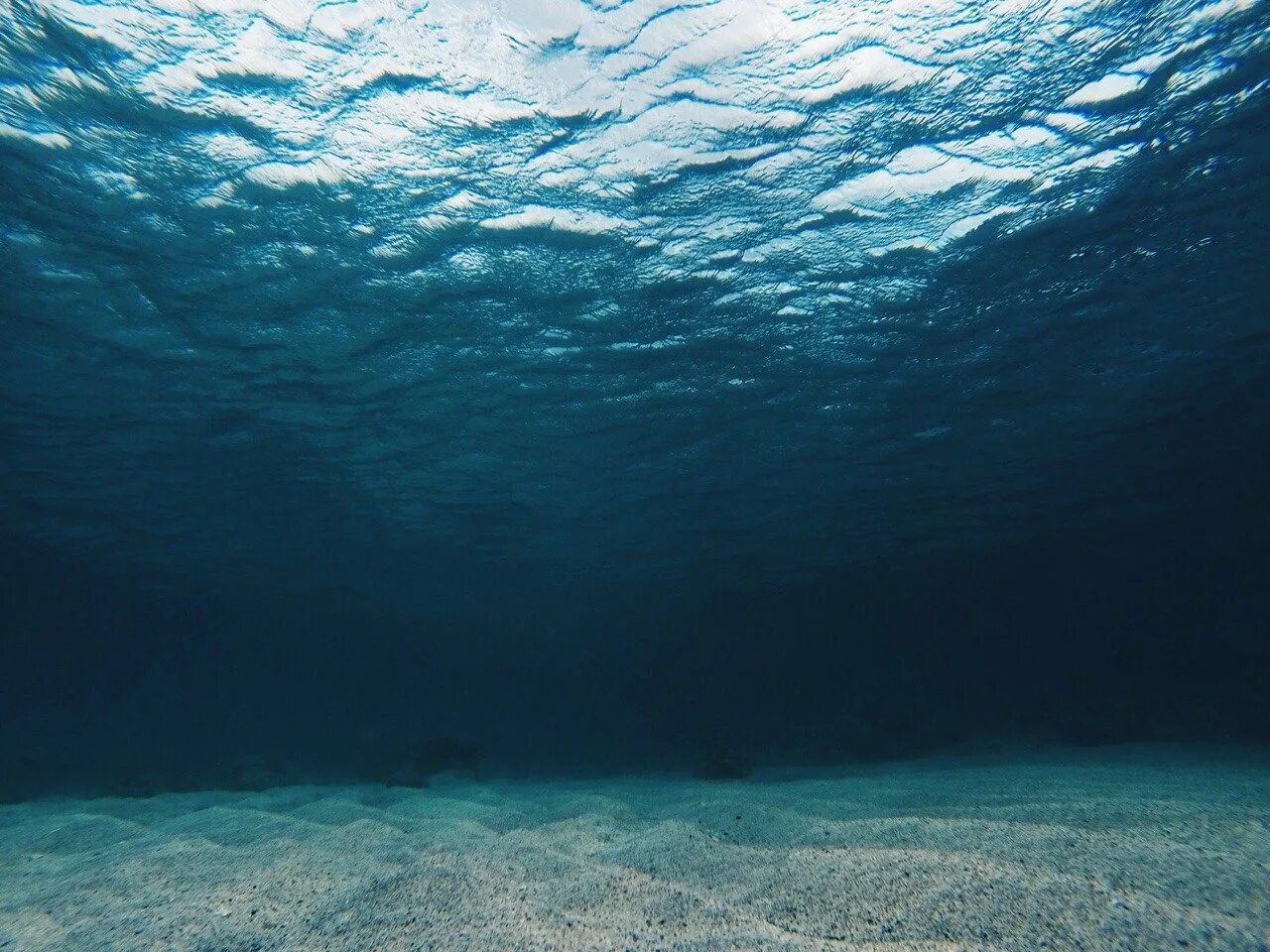 Месте не очень глубокая. Дно океана. Морское дно. Дно моря. Под водой.