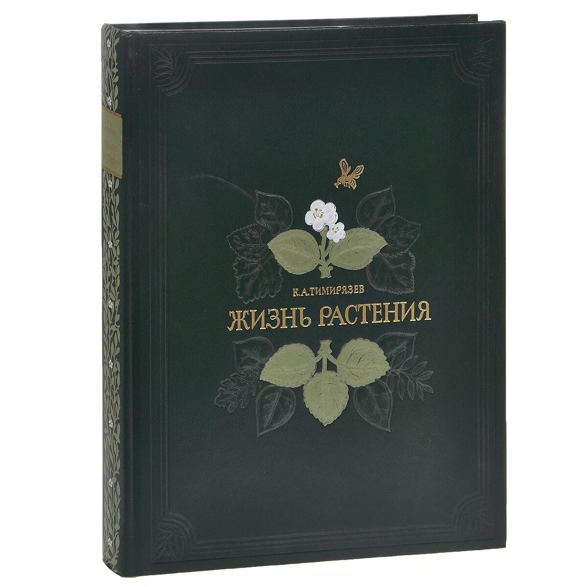 Книга жила была купить