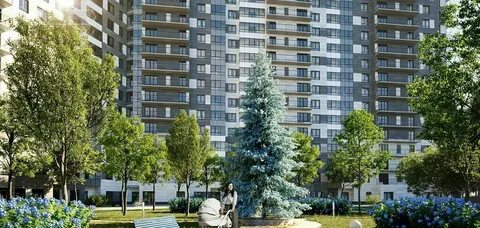 Аквилон скай