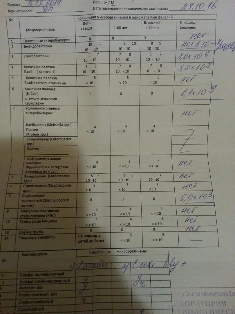 Какие анализы сдать на стафилококк. Норма анализа на дисбактериоз. Исследование кала на дисбактериоз. Бактериологическое исследование кала на дисбактериоз. Анализ на дисбактериоз пример.