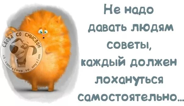 Легко даю советы. Смешные советы. Хорошие советы. Лучшие советы приколы. Прикольные советы в картинках.