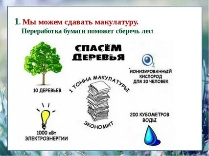 Экология видеоурок