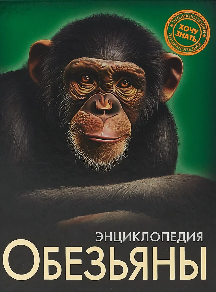 Тубусы сафари лтд. Топ 10 обезьян. Обезьянка. Обезьянка игрушка фигурка. Фигурка safari ltd wildlife.
