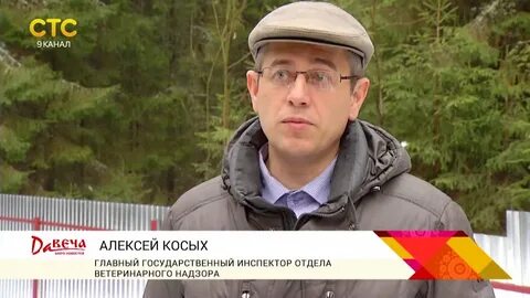 Погода в верхошижемье на 10 дней