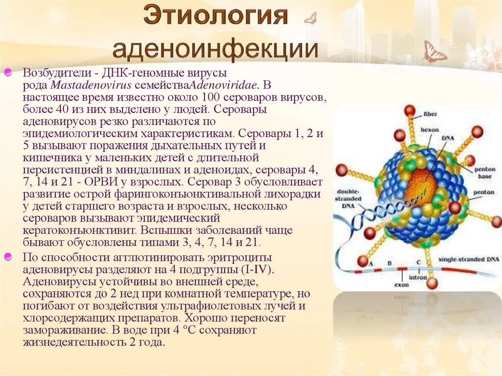 Аденовирус гриппа. Аденовирусная инфекция микробиология. Аденовирусы микробиология. Заболевания вызываемые аденовирусами.