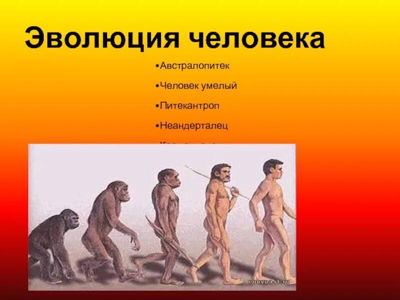 Эволюционирует ли человек. Эволюция человека. Развитие человека. Эволюция развития человека. Эволюционирование человека.