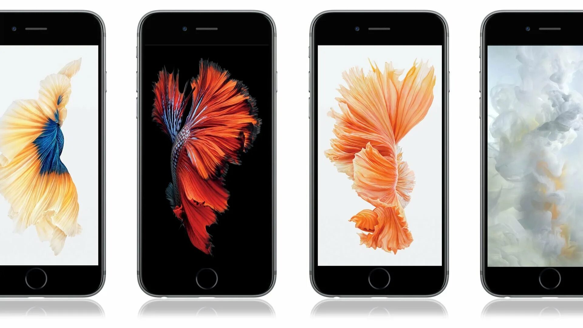 Айфон вид обои. Iphone 6s. Iphone 6s Plus narxi. Ayfon 6 s narxi. Аппле 6.