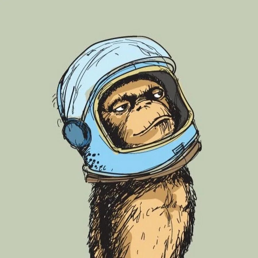 Обезьяна в скафандре. Обезьяна космонавт. Мартышки в космосе. Шимпанзе космонавт. Space monkey