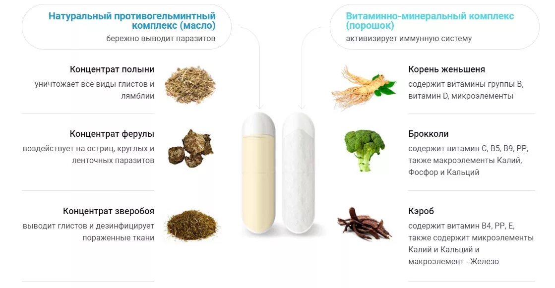 Вывести металлы из организма человека. Выведение паразитов из тела. Как вывести лямблий из организма. Лекарства для выведения паразитов. Вывод паразитов из организма.