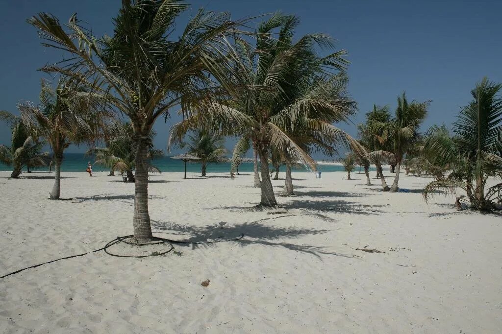 Пляж аль суфух. Пляж Аль Суфух Дубай. Аль Мамзар. Пляжный парк Аль Мамзар. Пляж Аль Мамзар в Дубае.