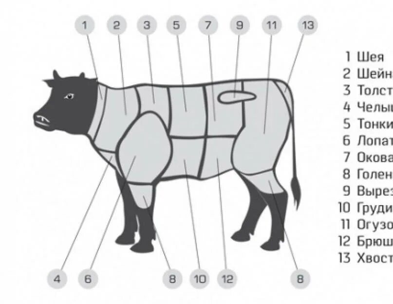 Схема частей коровы. Разруб туши коровы. Части туши коровы названия схема. Разделка мяса говядины схема.