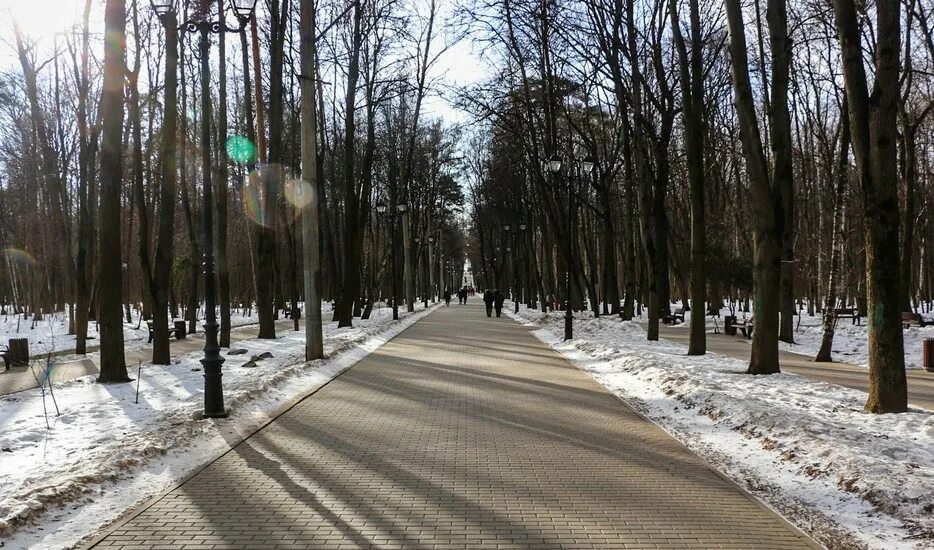 Каток проспект вернадского. Парк Никулино каток. Парк имени 60-летия октября Москва. Каток Тропарево-Никулино. Парк Фили Вернадского.