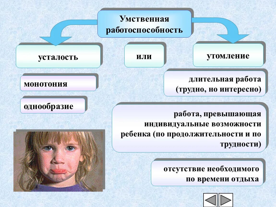 Индивидуальные возможности ребенка. Умственная работоспособность. Работоспособность, умственная работоспособность. Умственная трудоспособность. Работоспособность и утомление.