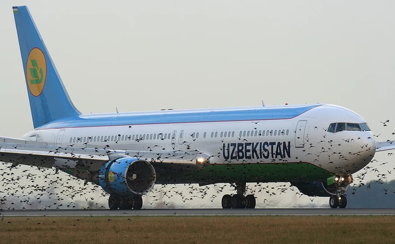 Боинг 767 Uzbekistan Airways. Узбекистан Эйрвейз Boeing 767-300er. Uzbekistan Airways a300. Узбекистан авиакомпания хаво йуллари.