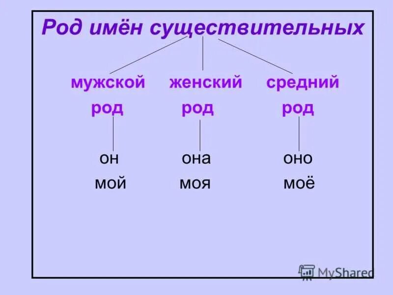 Что такое род и. Род имен существительных. мужской женскийспедний род. мужской женский средний род. русский язык род имен существительных.