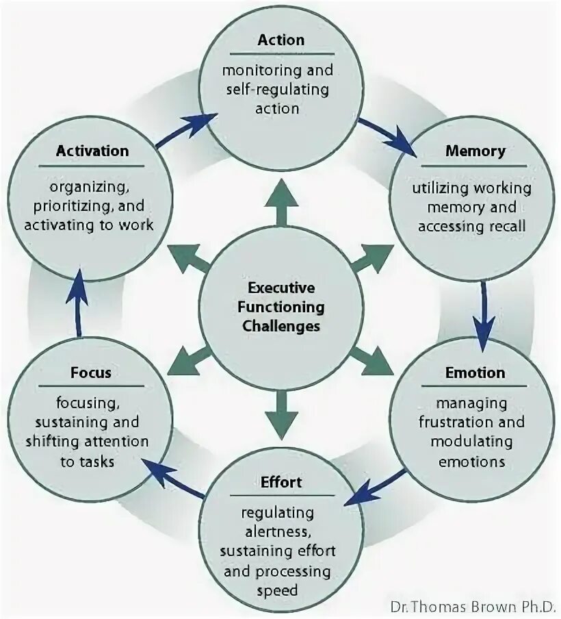 Executive functions. Executive functioning. executive manager functions. executive meaning.