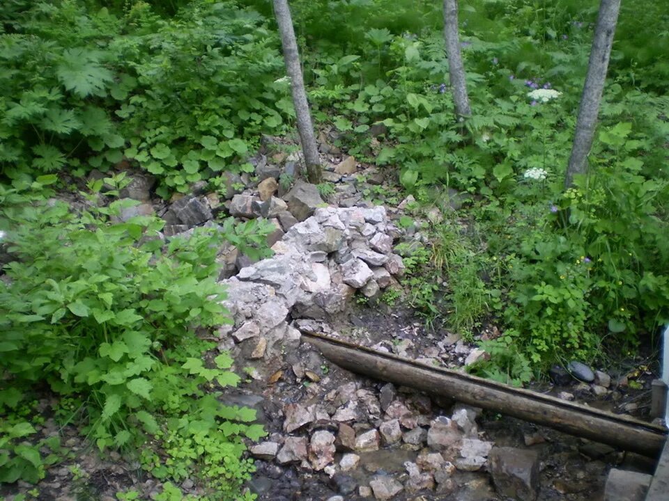 Погода родники шарыповский. Родник святителя Луки большая Мурта. Родник Красноярский край. Источник Святого Луки большая Мурта. Родник Святого Луки в большой Мурте.