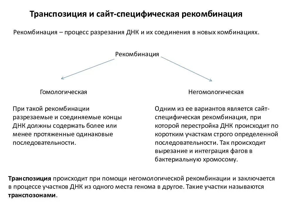 Определение рекомбинации. Сайт-специфическая рекомбинация. рекомбинация примеры. транспозиция примеры. типы рекомбинации.
