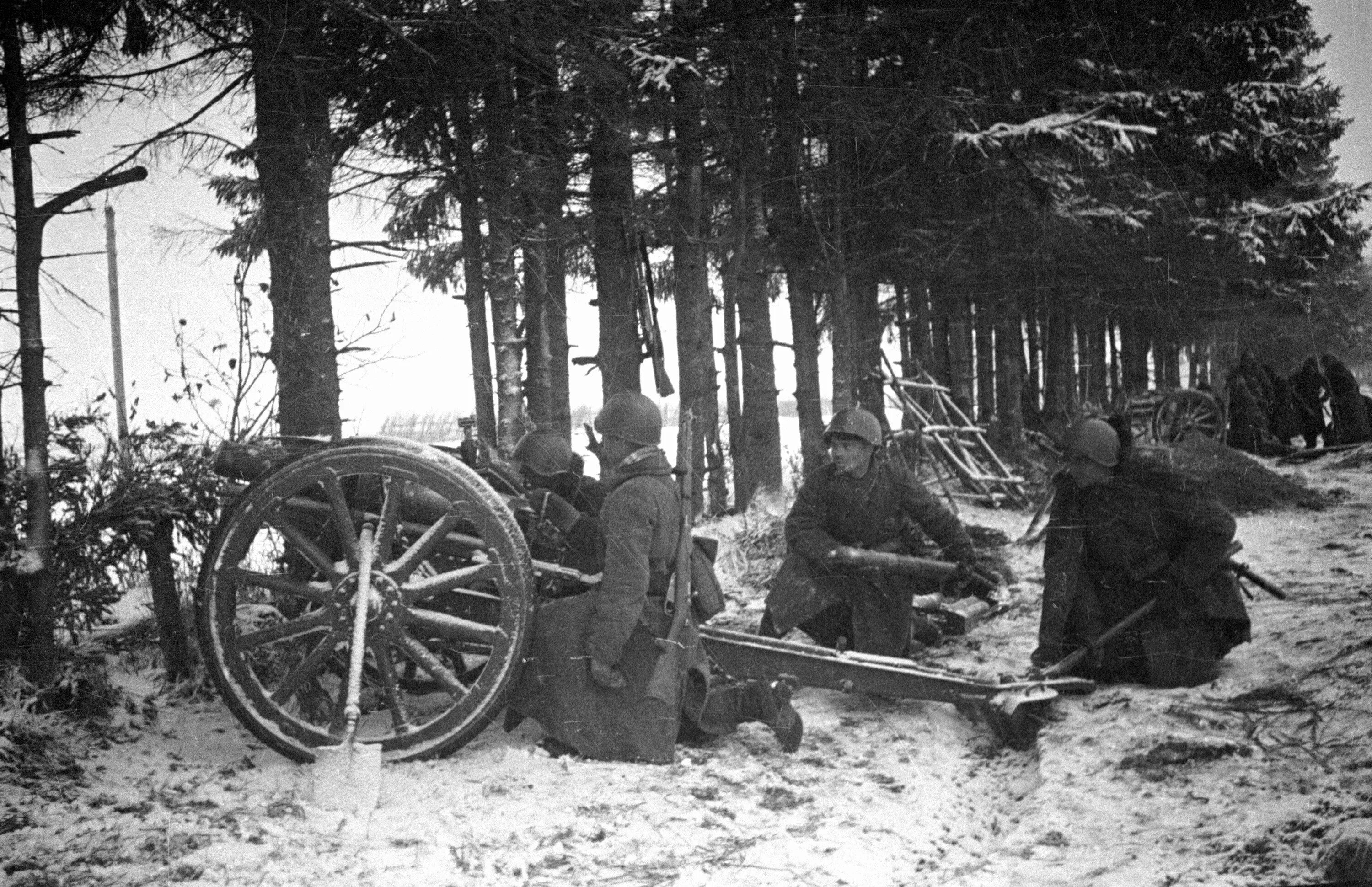 Октябрь 1941 великой отечественной войны. Полковая пушка обр 1941 года. Оборона Калинина 1941. Великий Новгород ВОВ В годы войны 1941.