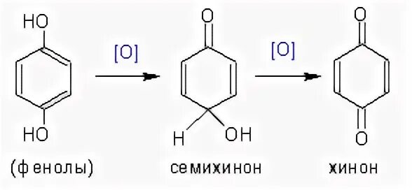 Хинон семихинон. Бензолсульфокислота в фенол. Двухатомные фенолы в Хиноны. Образование семихинон. Фенол и хлорид железа реакция