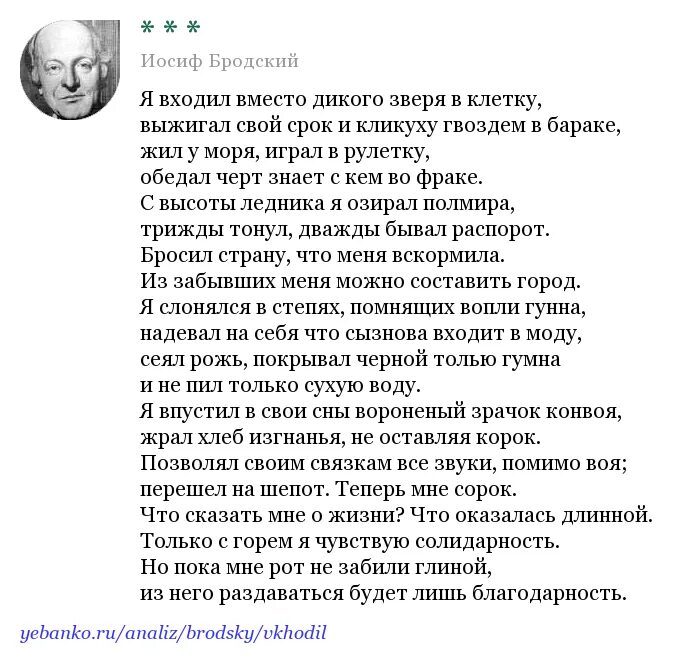 Иосиф Бродский я входил вместо дикого зверя в клетку. Стих Бродского я входил вместо дикого. Я входил вместо дикого зверя в клетку. Я входил вместо дикого зверя в клетку стих. Я входил вместо дикого зверя анализ