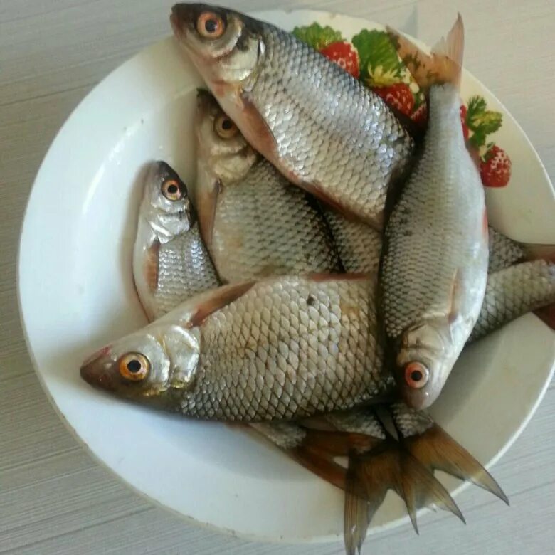 Купить рыбу в иркутске. Северная рыба. Рыба Иркутск. Продажа рыбы. Северная рыба Иркутск.