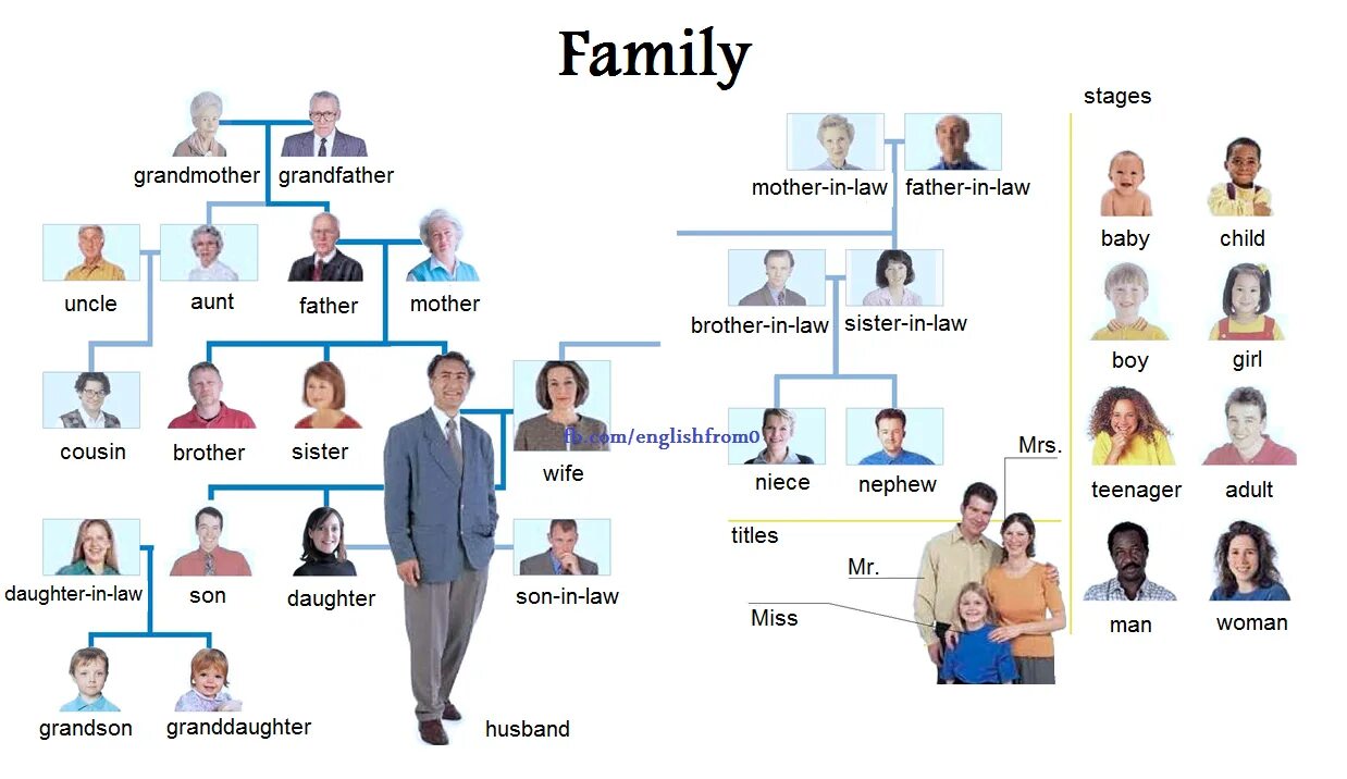 Вокабуляр семья английский. Семья на английском. Family на английском. Родственники на английском языке.