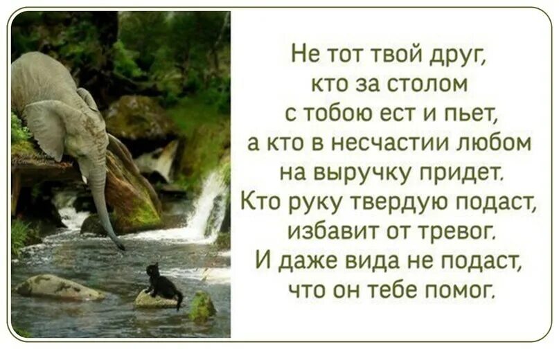 Человек приходит на выручку. Не тот твой друг. Друг это тот кто. Мы придём к вам на выручку если есть выручка. Sap консультант.
