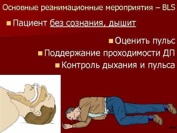 Проведение основных реанимационных мероприятий. Реанимационные мероприятия. проведение реанимационных мероприятий. основы реанимационных мероприятий. базовые реанимационные мероприятия.