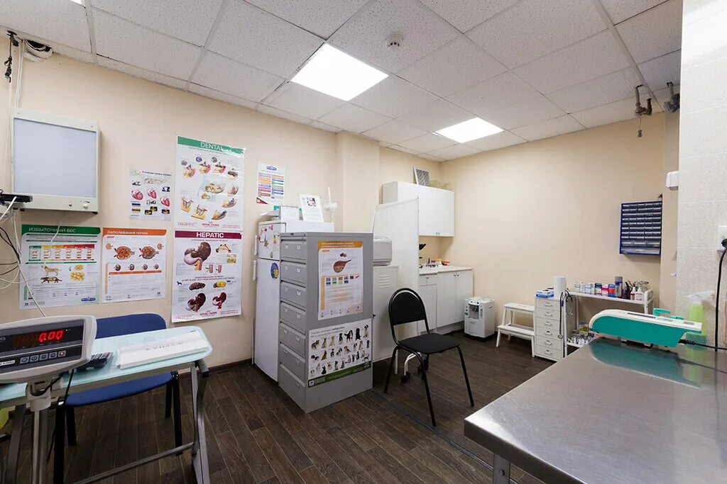 ветклиника эра терьера белгород. любимчик новотроицк веткабинет. любимчик новотроицк веткабинет. ветклиника для животных. кабинет ветеринара.