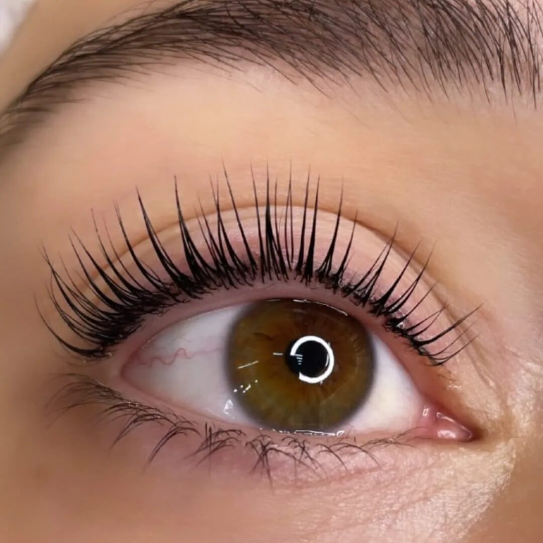 ламинирование ресниц в томске. ламинирование ресниц в томске. ламинирование ресниц 600р. ламинированный ресниц. иллюминирование ресниц.