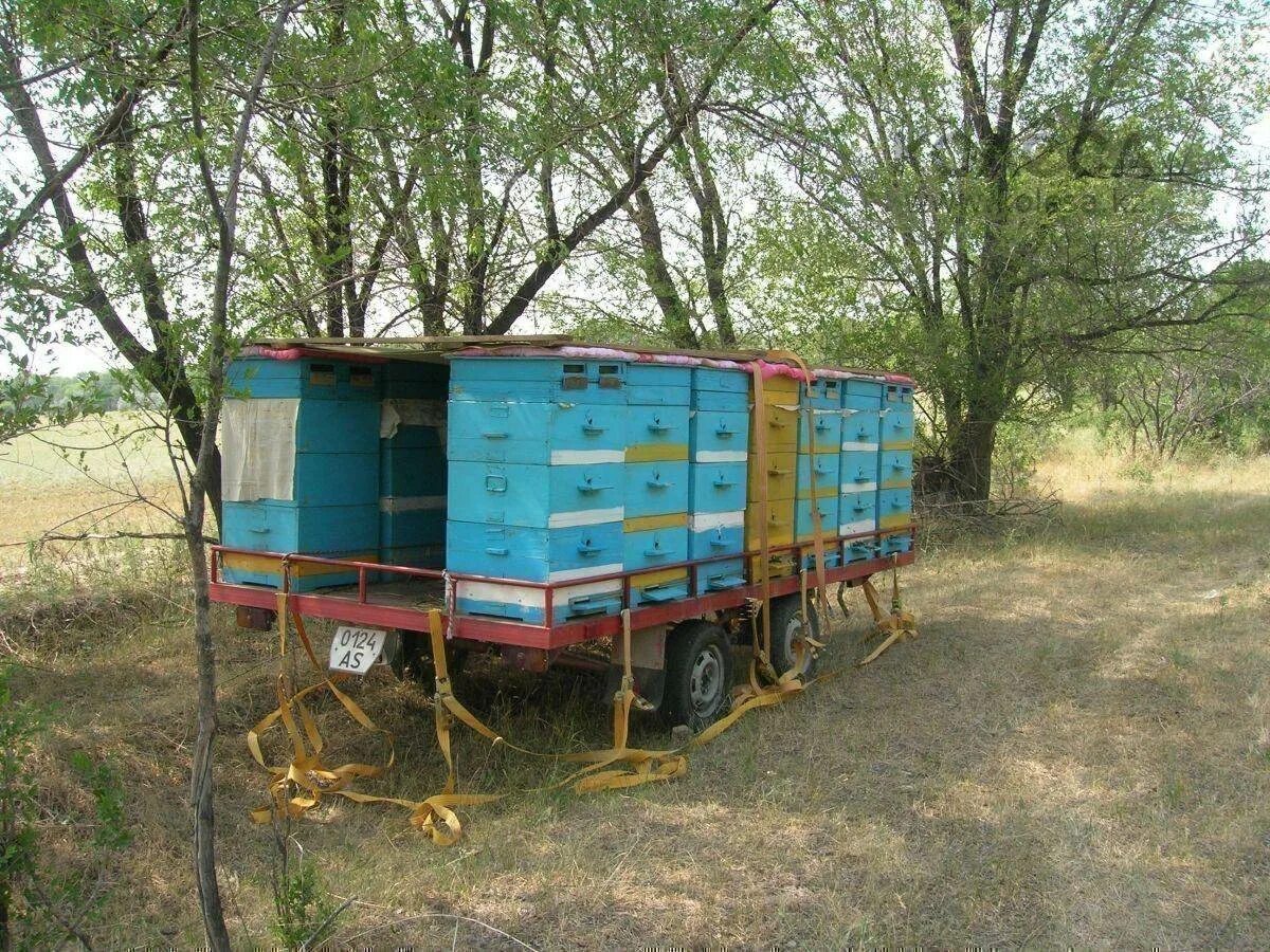 Прицеп улей. Прицеп 7135 “пчеловод” (“прогресс”). кочевой домик пчеловода. пчелопавильон прицеп для пчел. прицеп «пасека седельная-24» (“ось”).