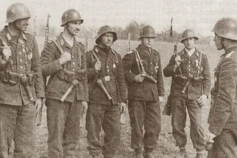 Румынская дивизия