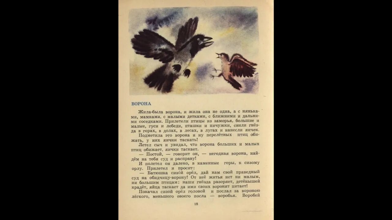 Ворона жила в ларьке. Медведь и ворона. Жила была ворона. Сказки и рассказы про ворону. Ворона как медведь.